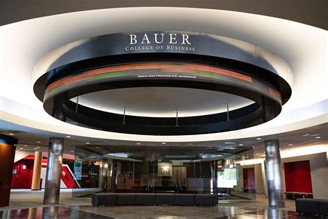 uh bauer|More.